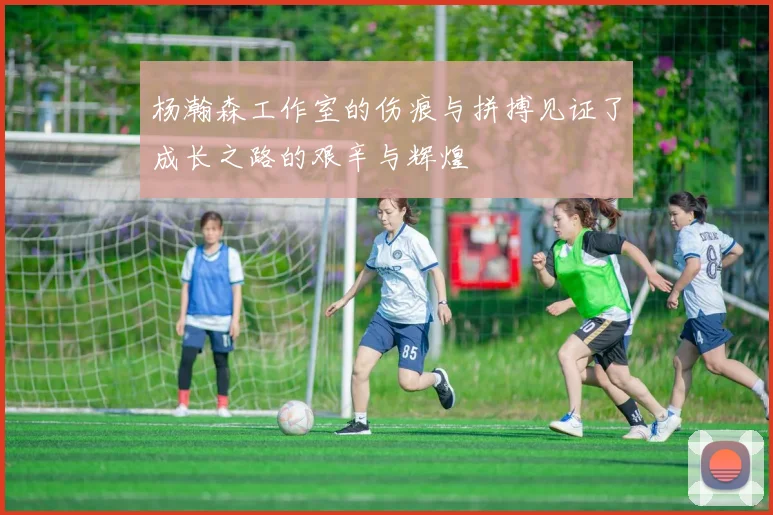 杨瀚森工作室的伤痕与拼搏见证了成长之路的艰辛与辉煌