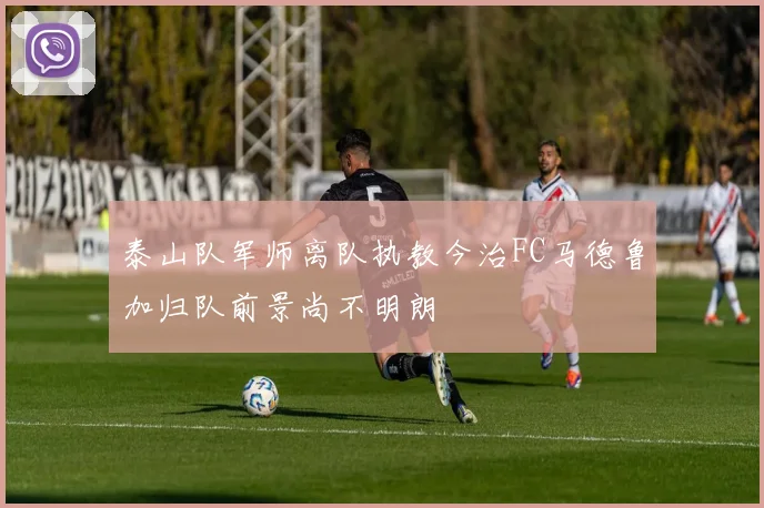 泰山队军师离队执教今治FC马德鲁加归队前景尚不明朗